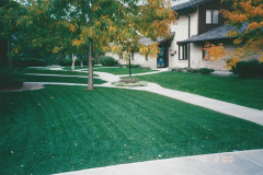 LANDSCAPING6